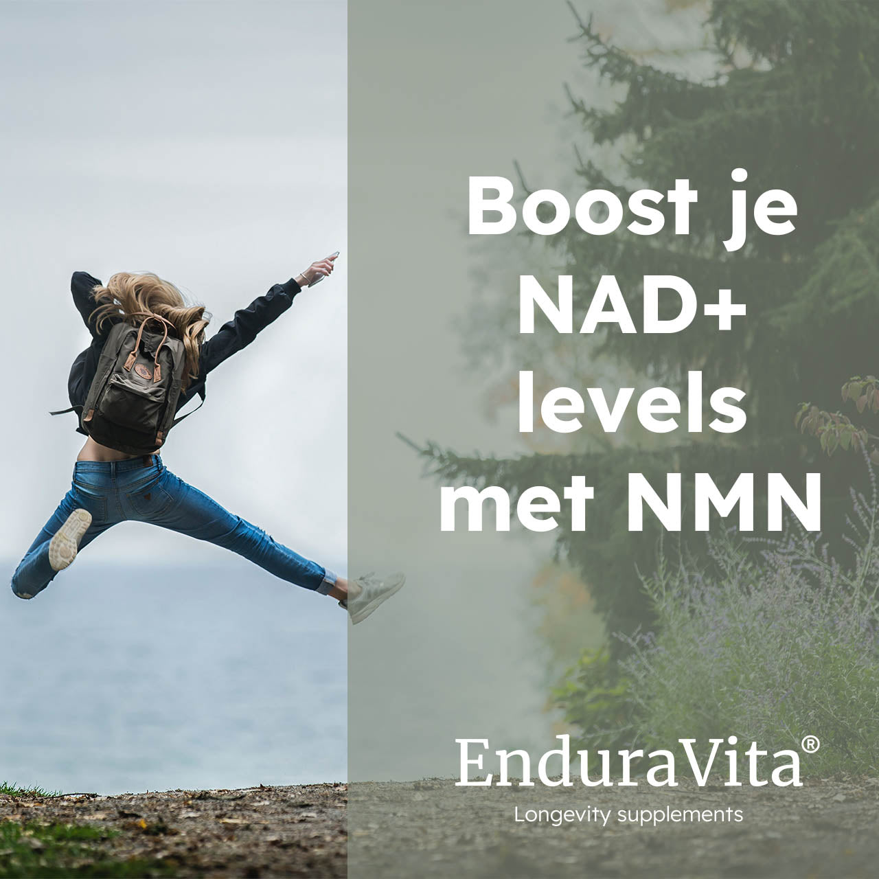 NMN Cápsulas 60x250mg